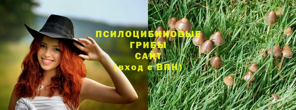 jwh Алзамай