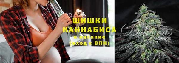 шишки Алексин